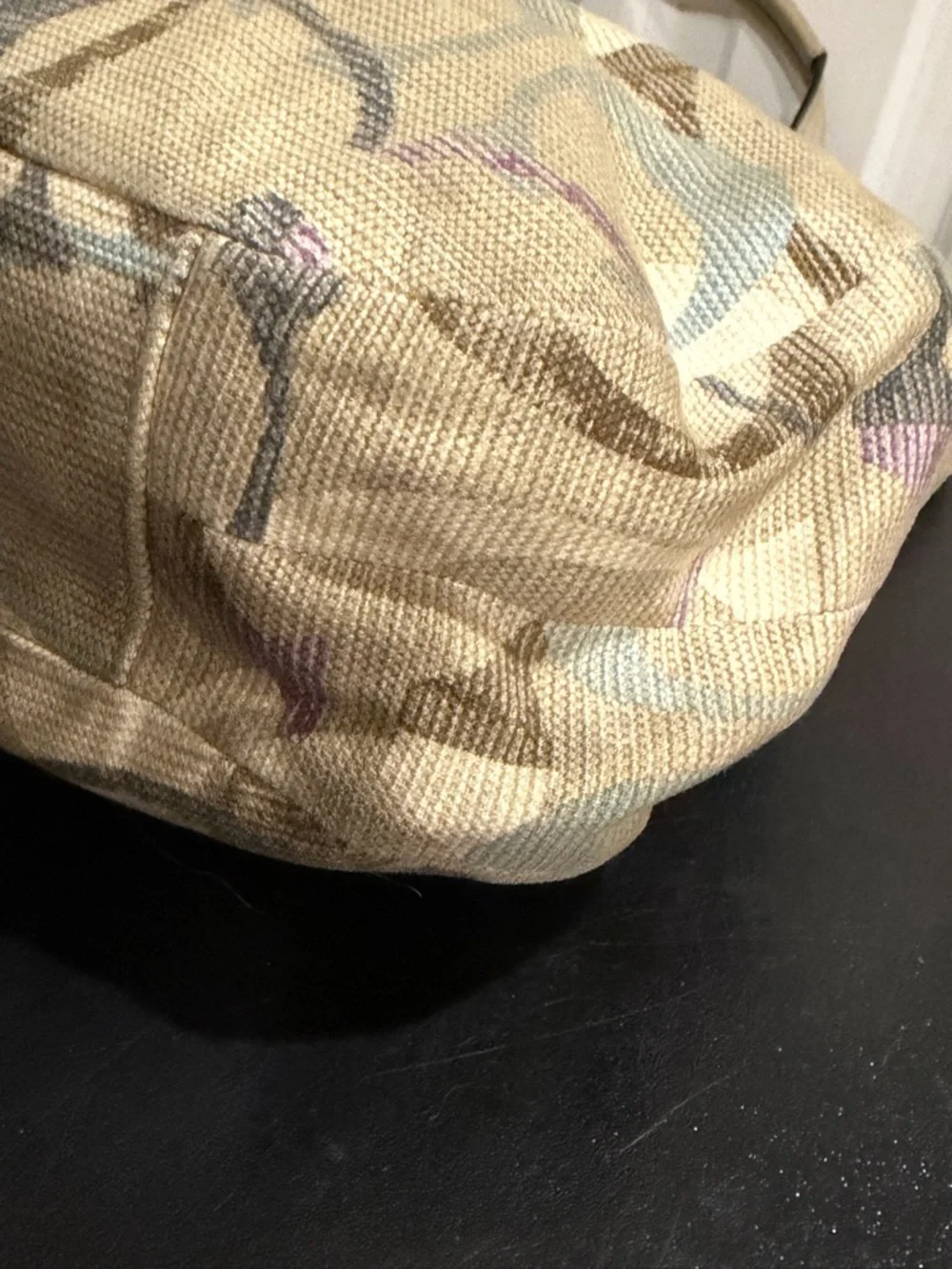 Coach shoulder bag